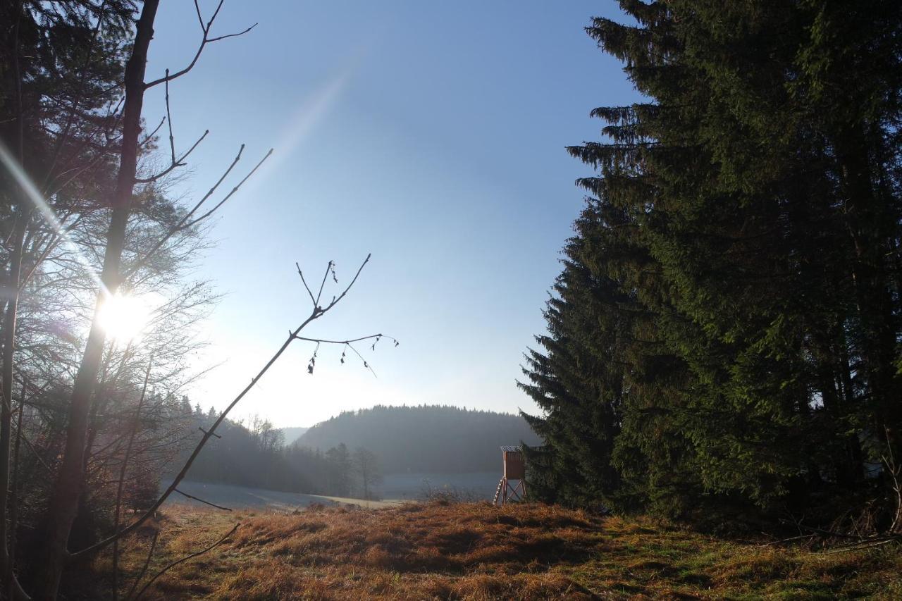 Alb Chalet Messstetten エクステリア 写真