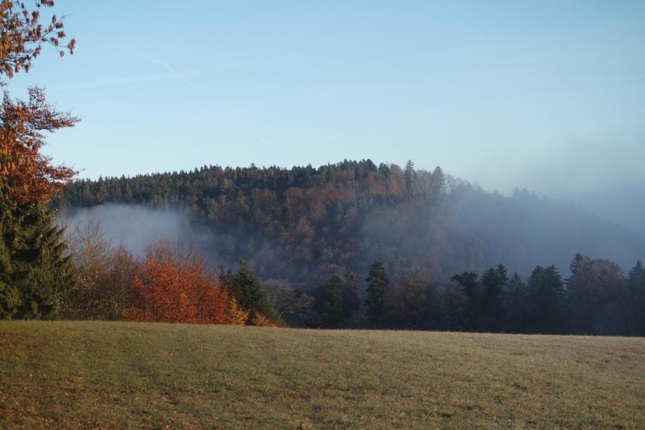 Alb Chalet Messstetten エクステリア 写真
