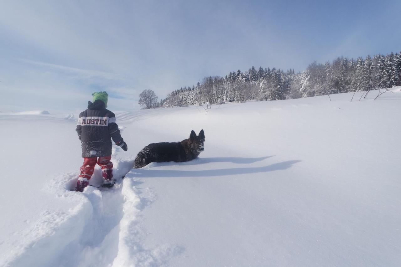 Alb Chalet Messstetten エクステリア 写真
